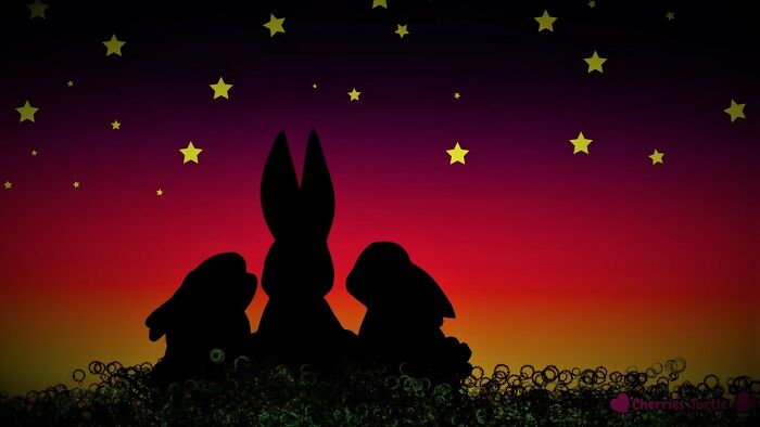Bunnys At Sunset Done On Computer