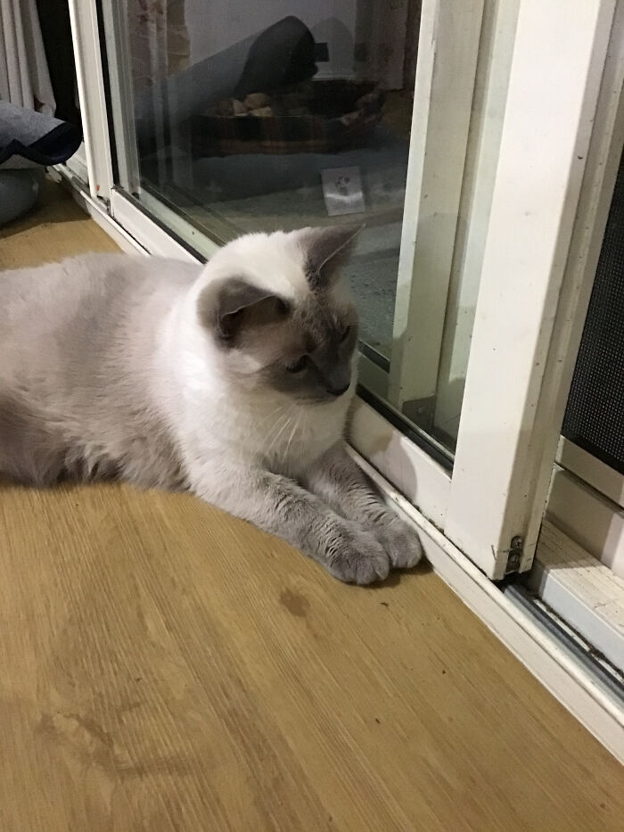 Adorable Chloe At Her Best