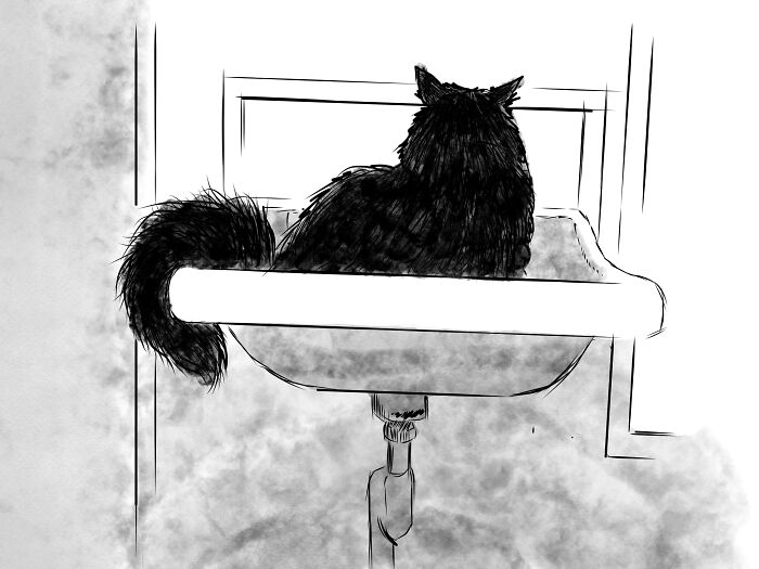 Suckles Likes To Sit In The Bathroom Sink And Meditate. Actually, He Gets In To Drink From The Tap, Then Forgets How To Do This.