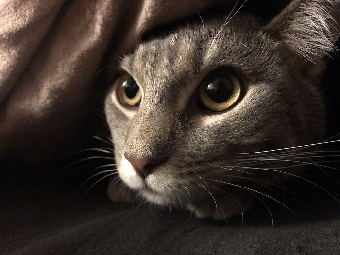 So Hard To Choose, But Love This One Of Merlin