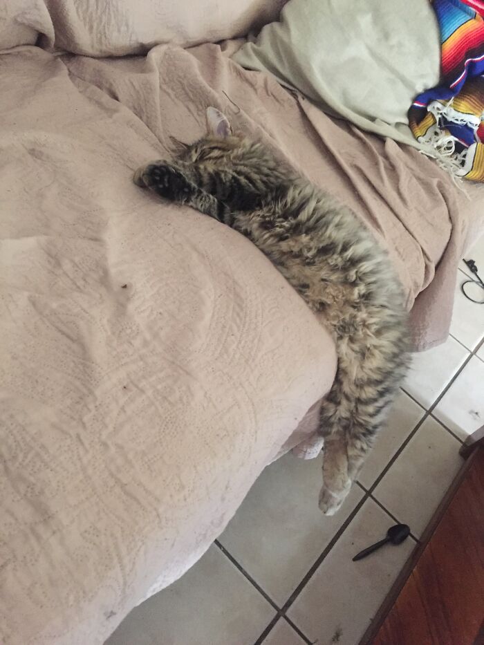 He Will Fall Asleep Anywhere