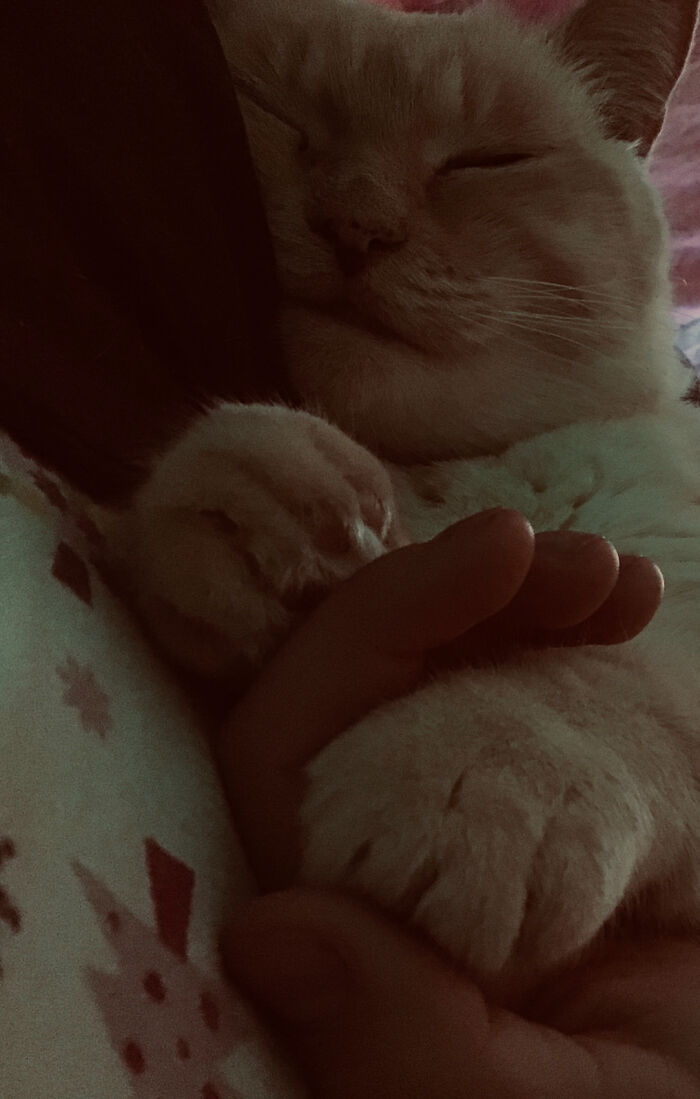 She’s A Sweetheart Make No Mistake But I Didn’t Get My Hand Back For And Hour