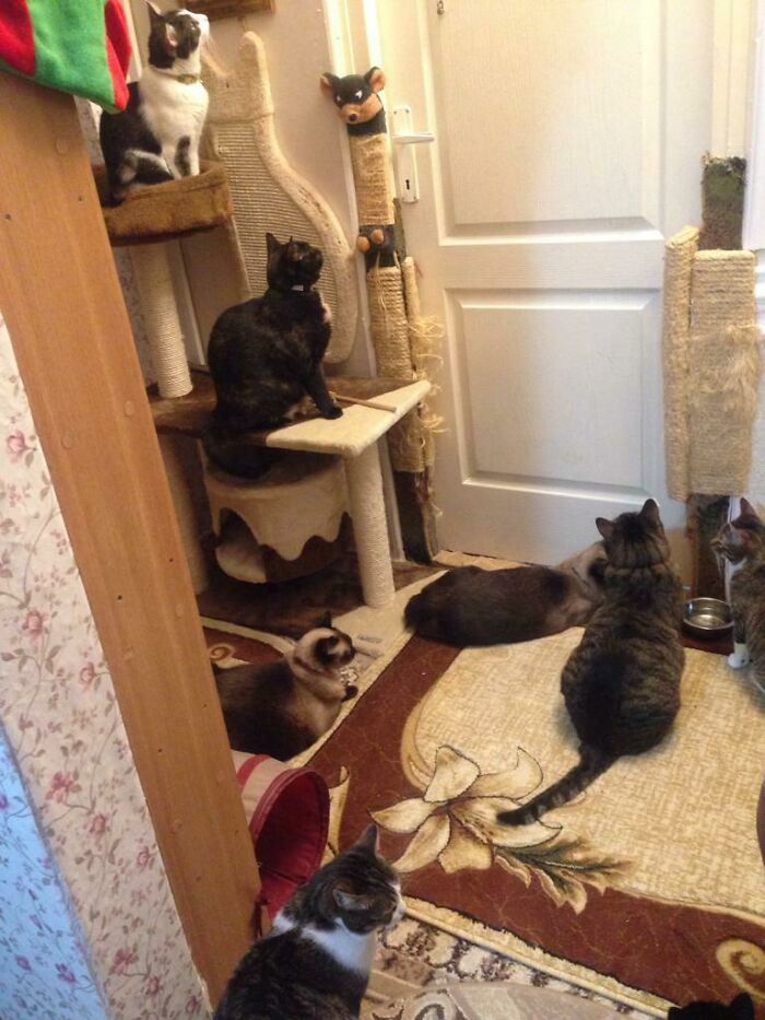 Mom Is Behind The Closed Door Preparing Dinner...