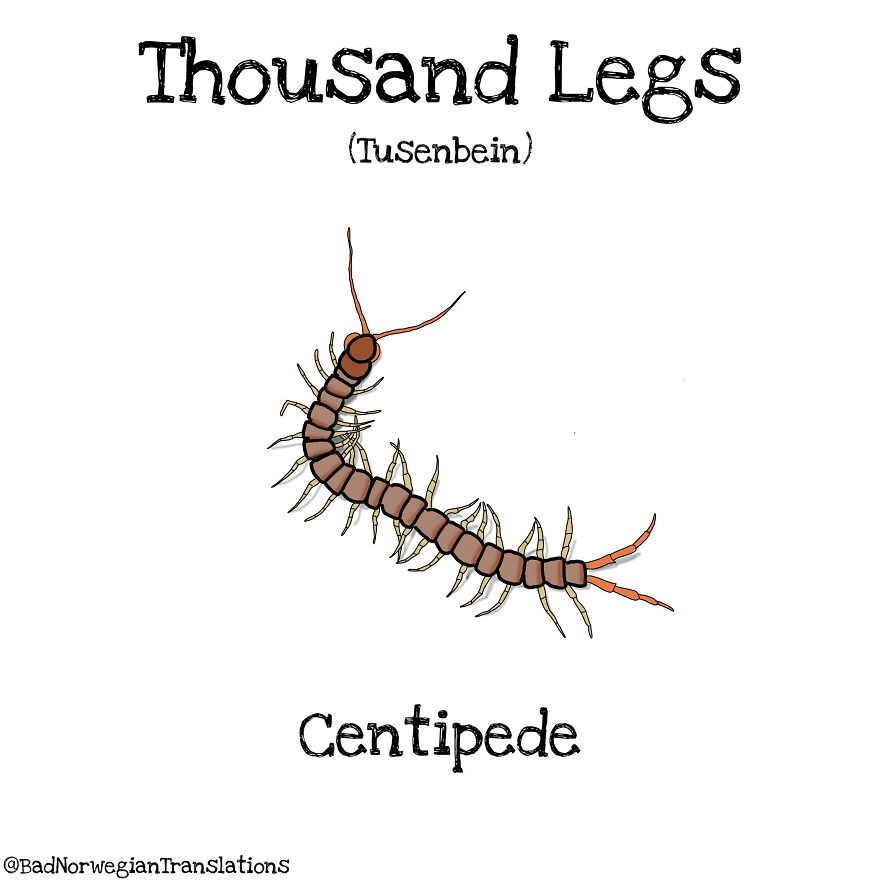 The Simplicity Of The Norwegian Language