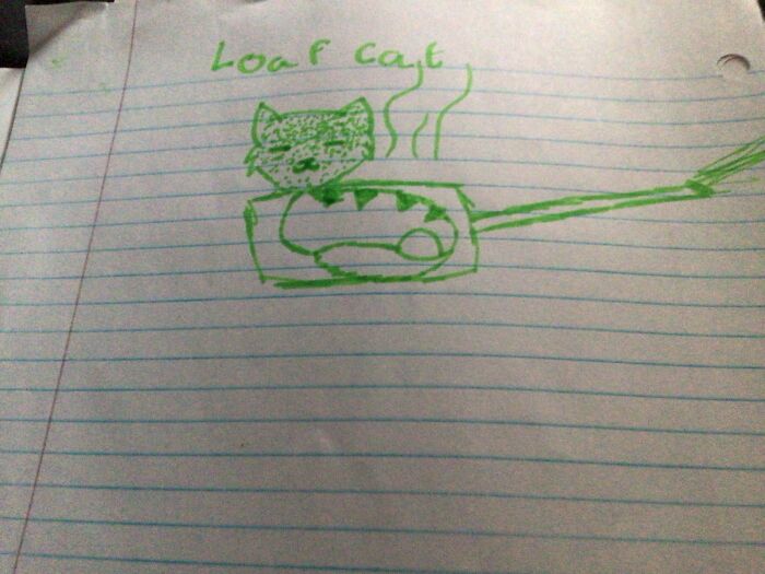 I’m Not Great With Animals , But Here’s Loaf Cat!