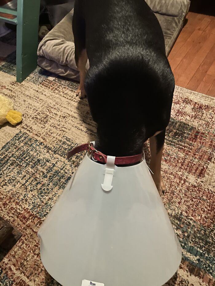 First They Took My Uterus, And Then They Took My Dignity.