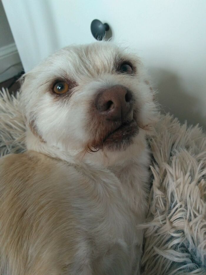 His Face Says It All