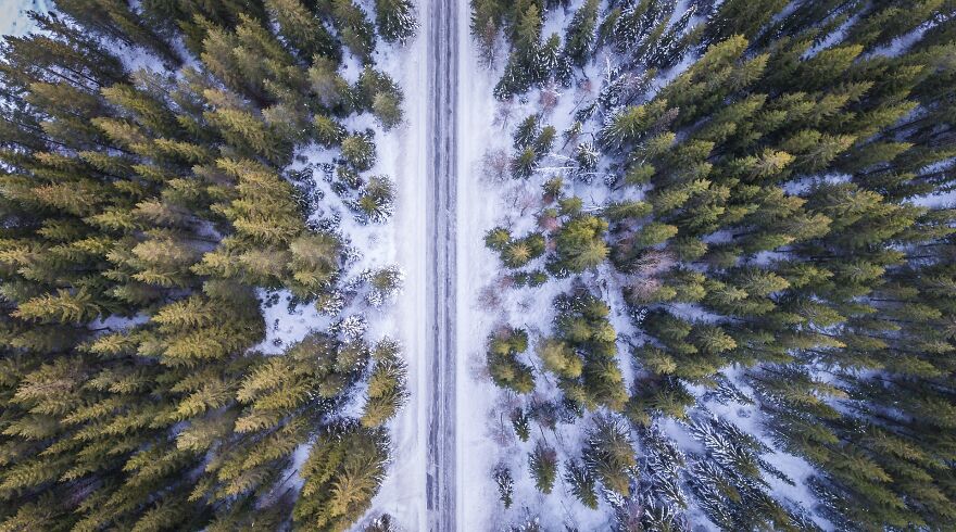 Forest-Road-Above-Aerial-Cold