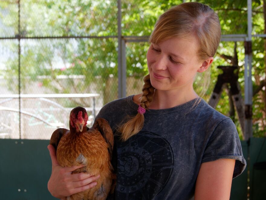 Vietnam's First Farm Sanctuary And Animal Rescue Helps All Kinds Of Animals Who Are Suffering From Cruelty And Neglect Vietnam's First Farm Sanctuary And Animal Rescue Helps All Kinds Of Animals Who Are Suffering From Cruelty And Neglect