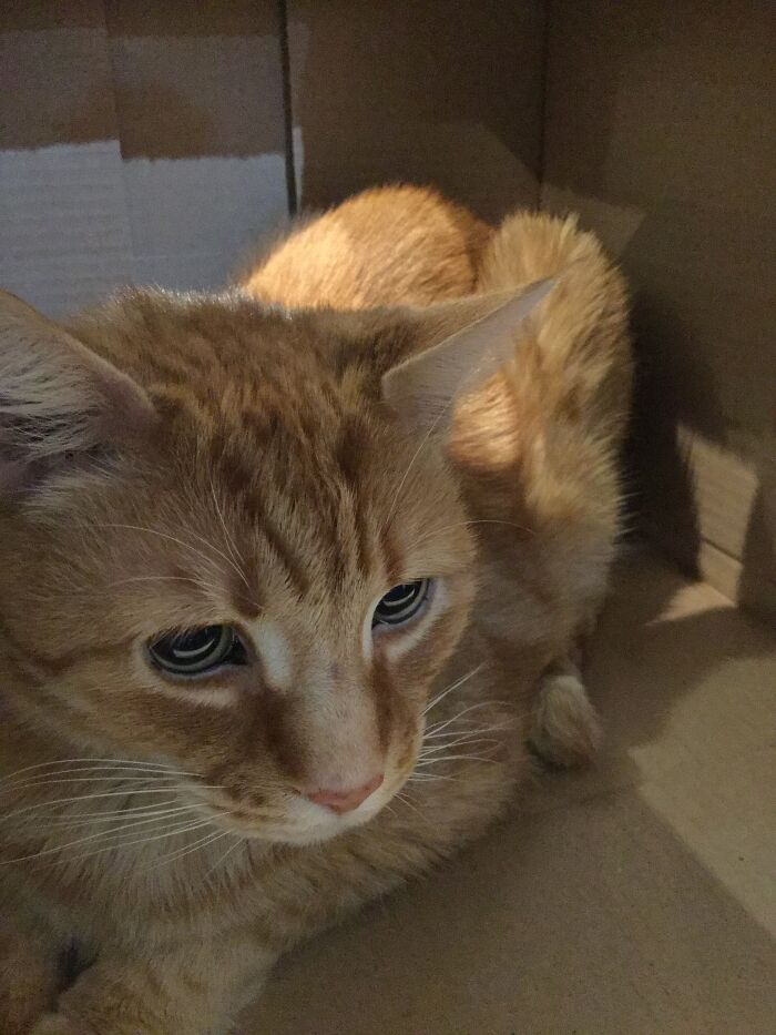 R.i.p. Hot Pot, I'll Always Miss You