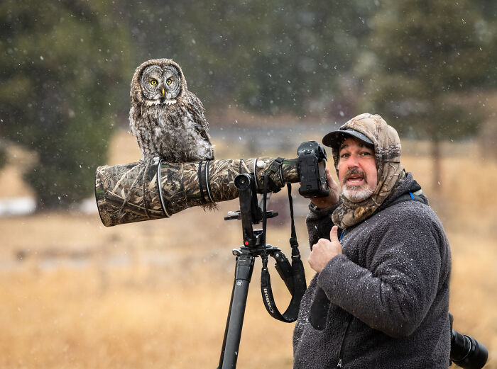 "It Sent Tingles Down My Spine For Hours": Owl Lands On This Photographer&rsquo;s Lens, Ends Up Blending In Perfectly