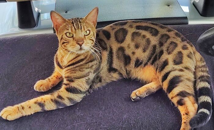 Pretty But Crazy As A Loon.....