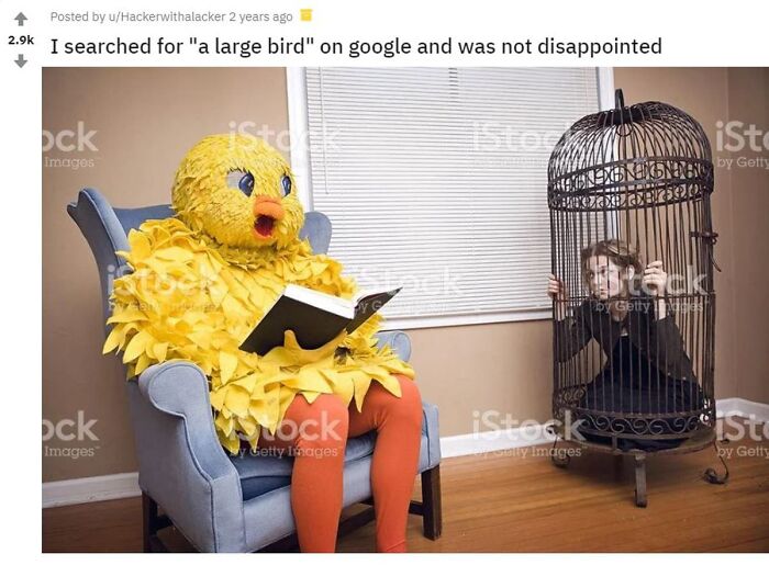 Large Bird Stock Photo