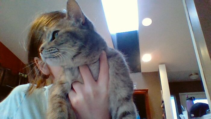 My Kawaii Neko, Sparkles. Ignore The Face Pls T^t