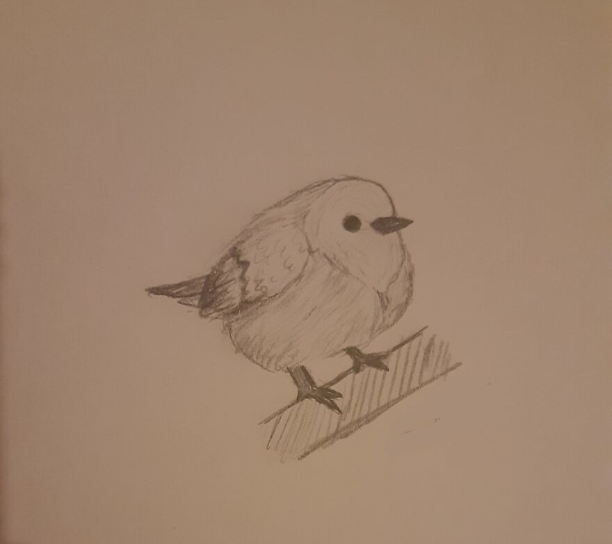 Pudgie Birb