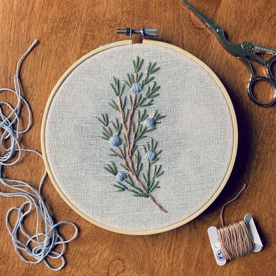 Simple Juniper Branch