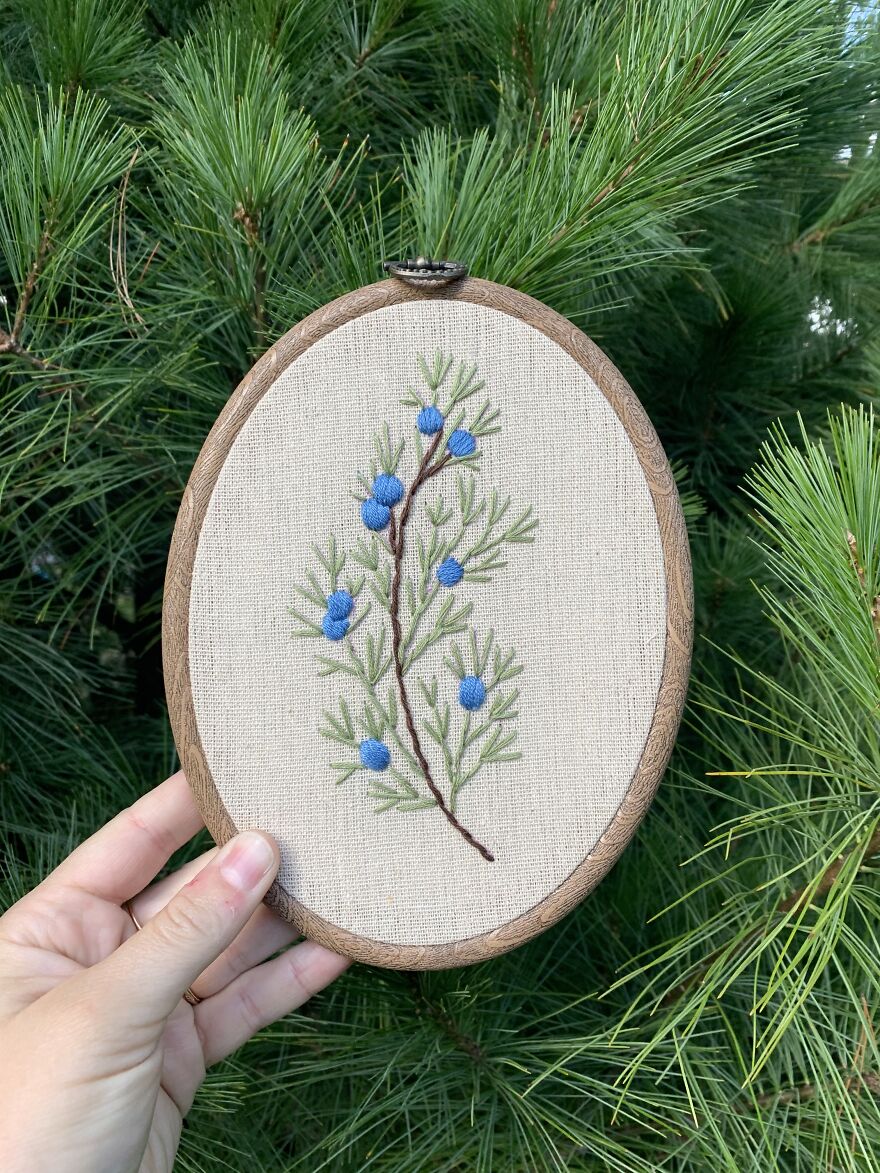 Large Juniper Branch