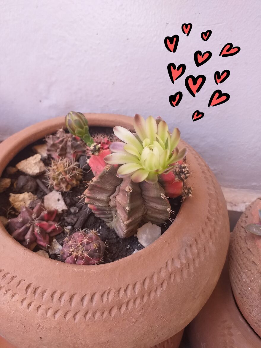 I Create This Comics To Make You Feel Better During This Quarantine Time