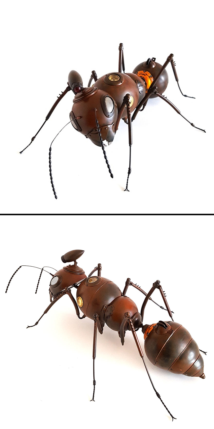 Queen Ant