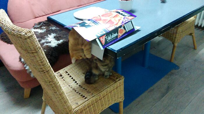 Perfect Pizza: Barbarossa, Salami, Cheese, Box!