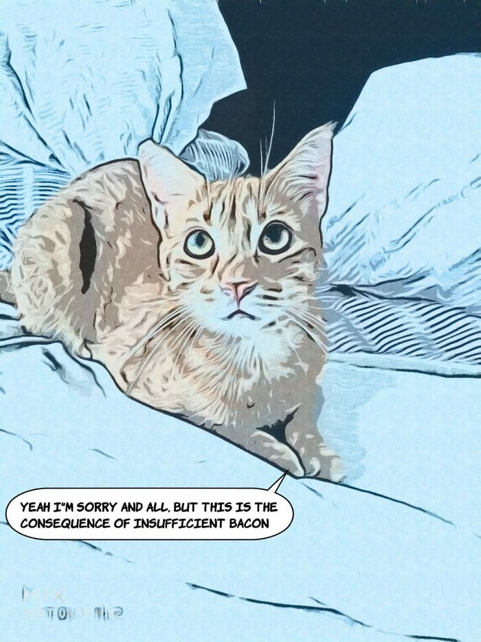 A Cartoon Of My Cat Juan Martín. The Caption Reflects His Personality
