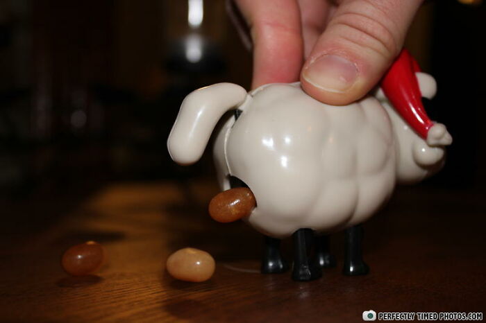 The Jelly Been Pooping Sheep. A Few Years Ago My Mom Got Me One Of These And It Was Great! It Diddint Come With That Many Jelly Beens Tho
