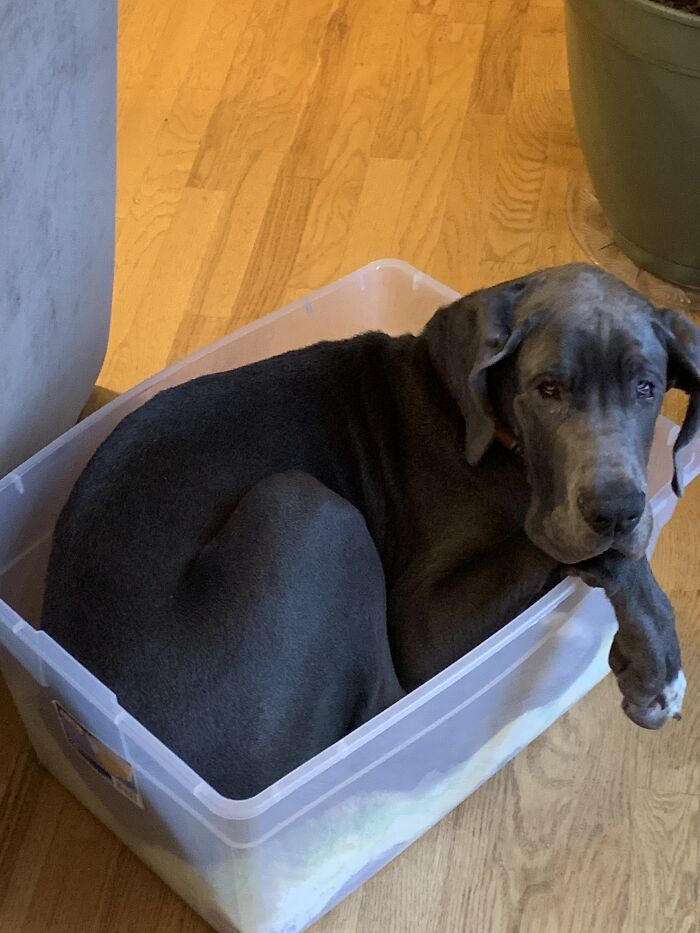 If I Fits, I Sits