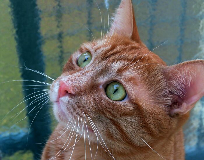 My Beautiful Boy, Milenko