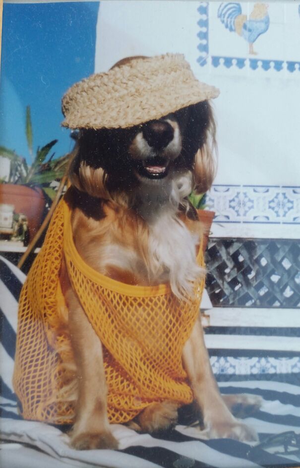 ...then Things Went Pear-Shaped..