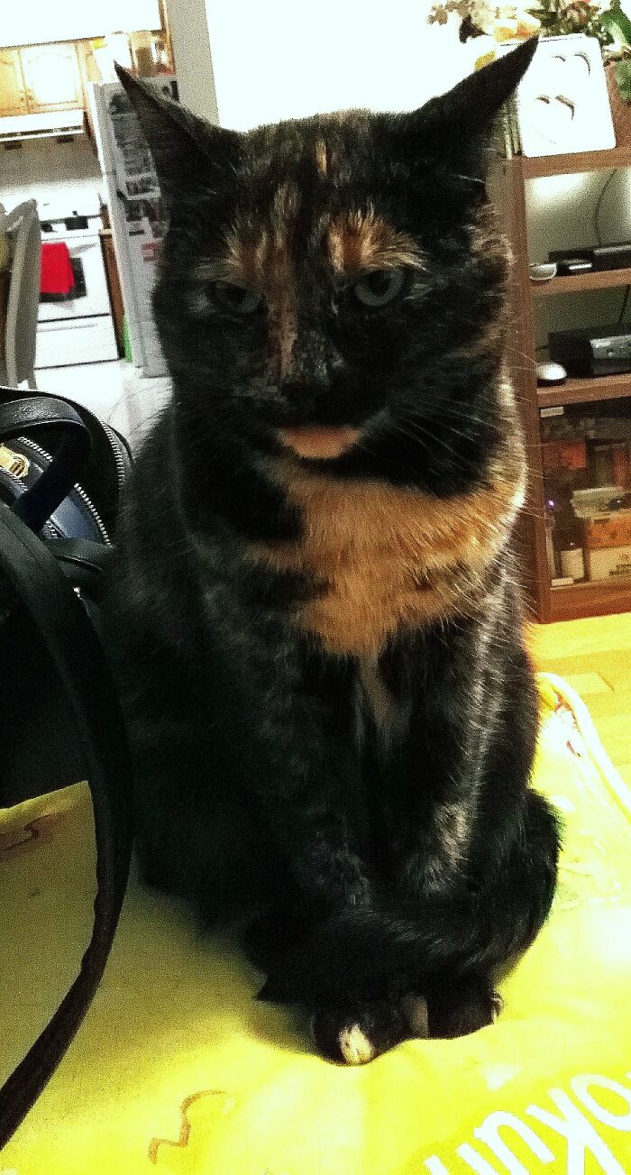 Lola, Asking Person To Sit On My Lap