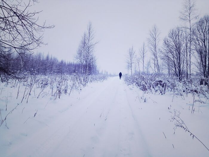 Central Russia, Second Day Of Real Snow