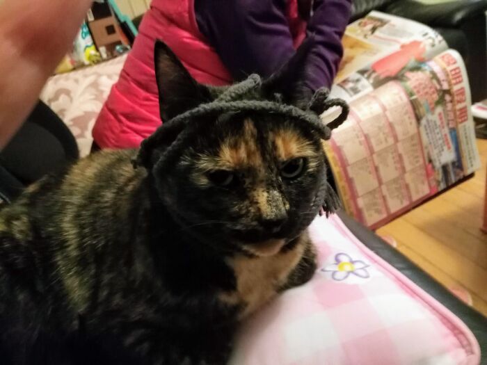 Lola Giving Me The Stink-Eye