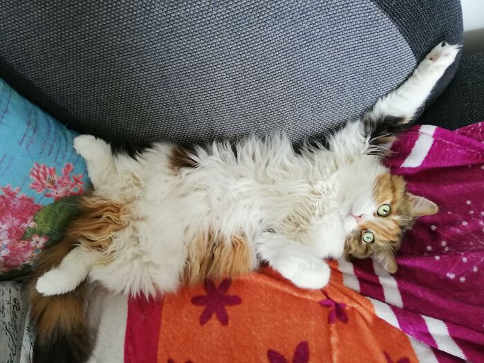 Let's Do Some Streching