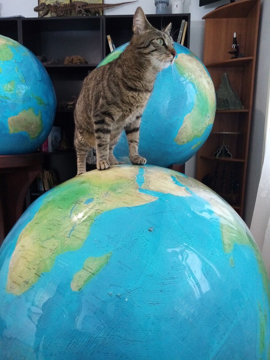 I Create Large Earth Globes From Gypsum And Natural Pigments (16 Pics) I Create Large Earth Globes From Gypsum And Natural Pigments (16 Pics)