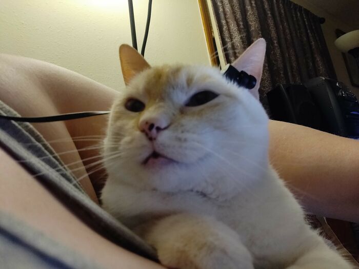 Sora Is Addicted To K-Pop's Kihyun From Monsta X.