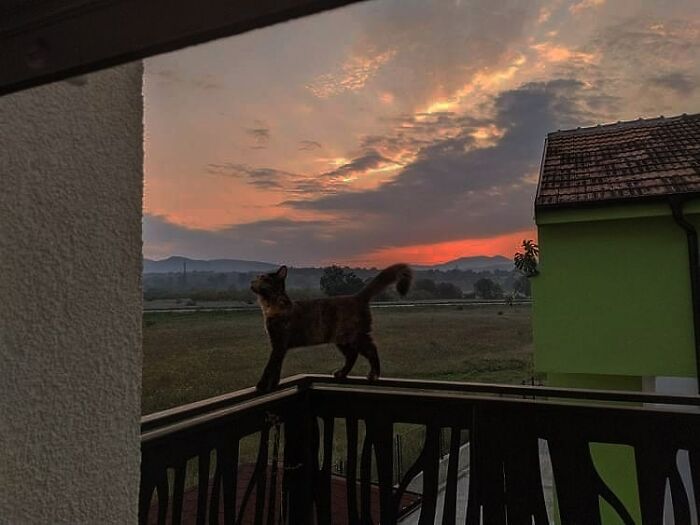 She Doesn't Even Know That She's A Model😳