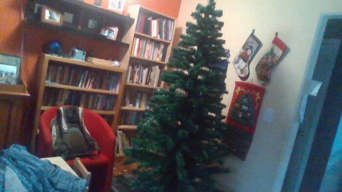 Tree When Not Lit Up