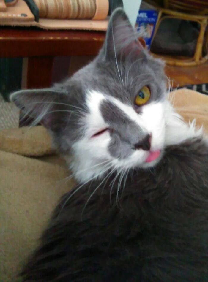 Woke Em Up And He Did This...