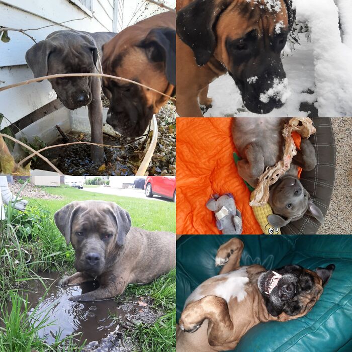 Bynx & Bals Are Always Up To Something...and They Have No Qualms About It!