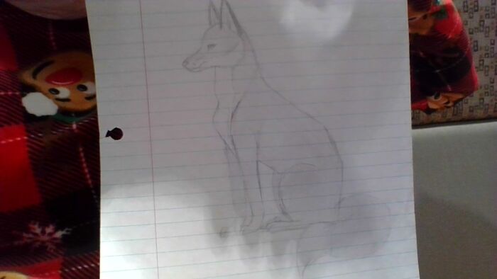 Ummm... I Love All Animals But This Is One Of My Favorites. (Sorry The Photos So Bad My Camera Sucks)