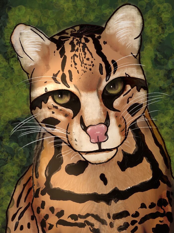 Ozelot On Procreate Still Unfinished .. I Would Like To Give Credit To The Photographer Of The Reference Goto But Couldn't Find The Name. .