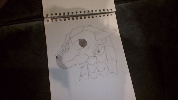 -Sandwing- (Wings Of Fire)