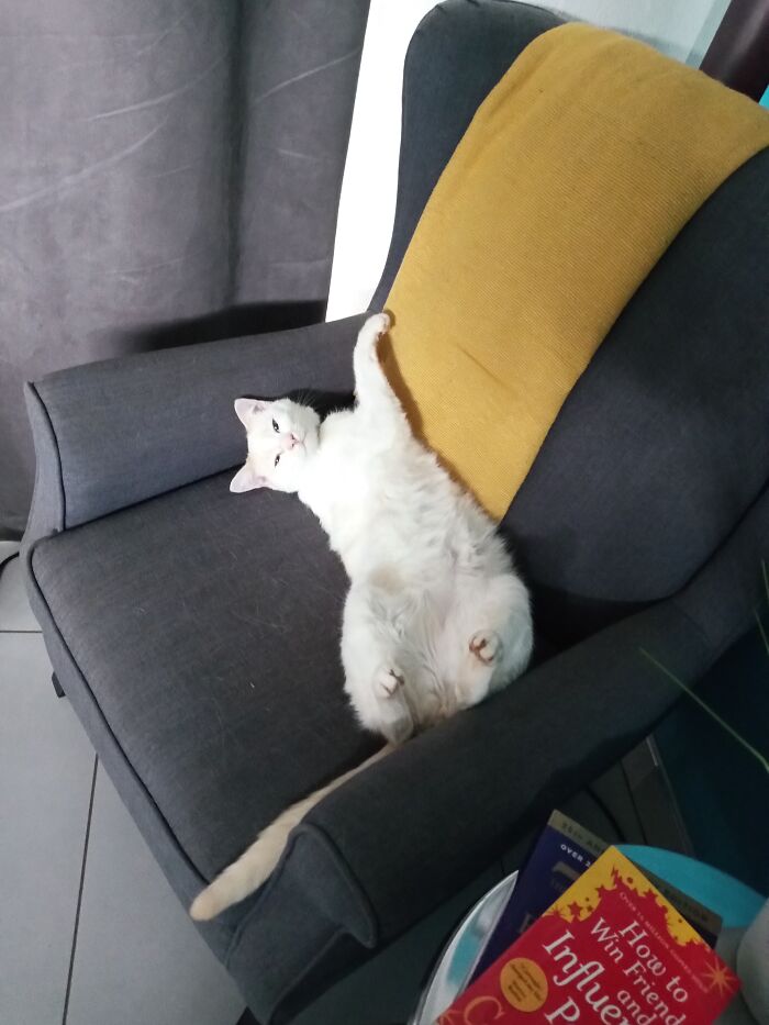 Tyler, King Of The House