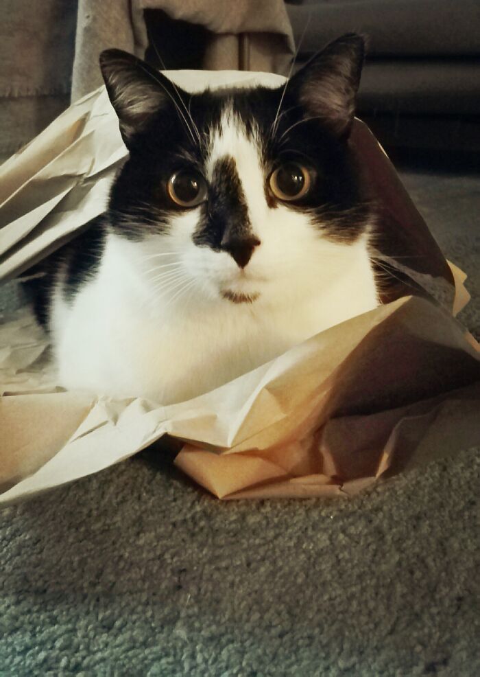 Piru Is Our Adopted 5-Year Old Boy