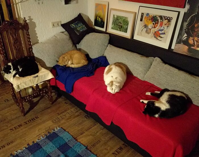 Gangs Of Criminals Is Tired From Doing Criminal Things