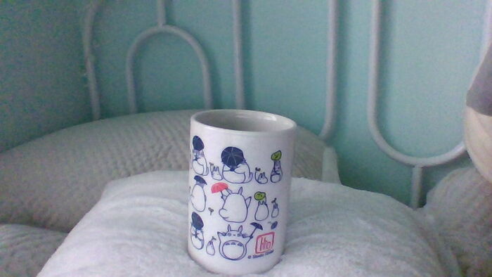 This My Neighbor Totoro Cup