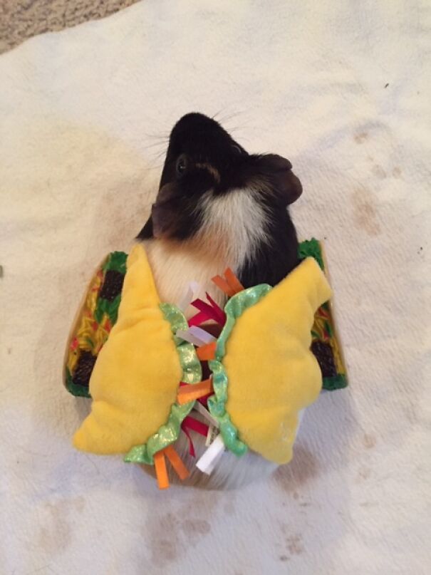 One Of My Tacos Seems A Little Too Large...