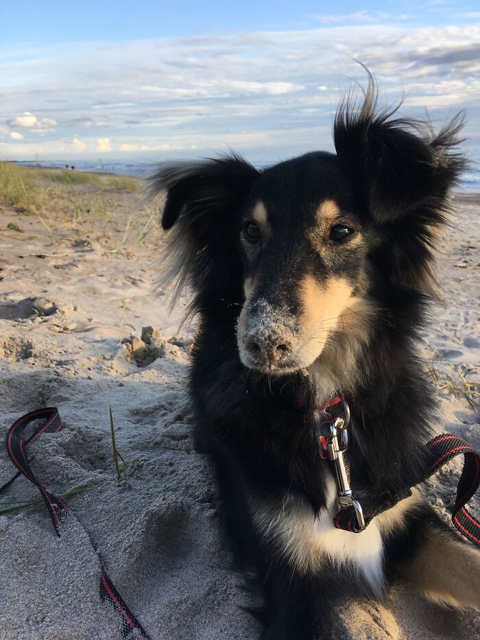 Eating Sand Seems To Be Her Hobby