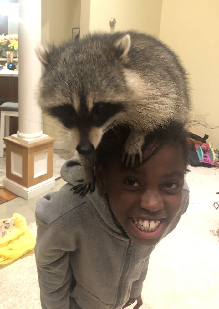 We Raised Him From A Kit And He Still Thinks He's Little.