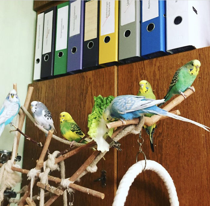 Just A Part Of Our Swarm